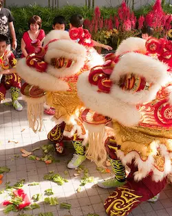 Chinese lions spreading the lettuce